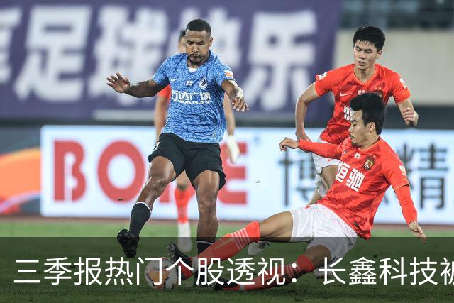 三季报热门个股透视：长鑫科技被多只基金顶格买入，中际旭创、东山精密调仓现分歧