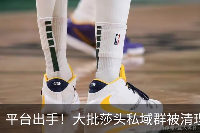平台出手！大批莎头私域群被清理，饭圈乱象整治，全网纷纷叫好