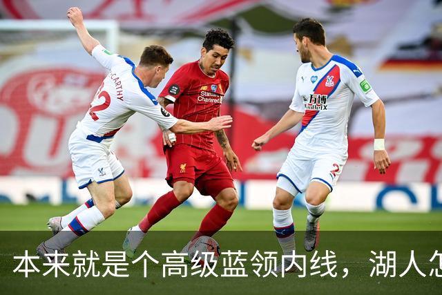本来就是个高级蓝领内线，湖人怎么能指望他做到面面俱到？