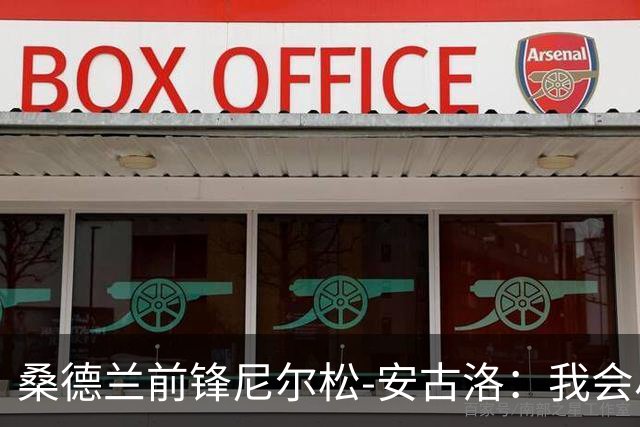 桑德兰前锋尼尔松-安古洛：我会尽力帮助同胞胡安适应新环境