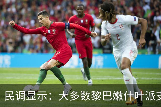 民调显示：大多数黎巴嫩什叶派支持解除真主党的武装，正在放弃真主党